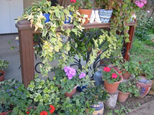 עמוד פינה לגדר